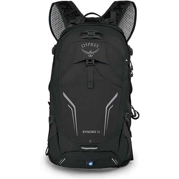 Amazon.co.jp: [Arc'teryx] マンティス20 Mantis 20 Backpack